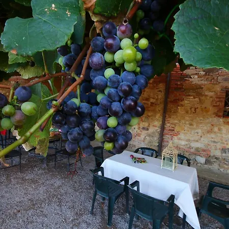 Vakantiehuis Near Trasimeno With Pool *